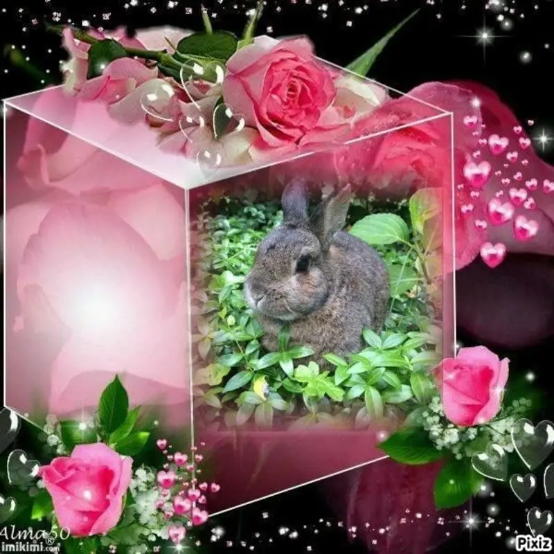 Andachtsbild von Sternchenpost ⭐