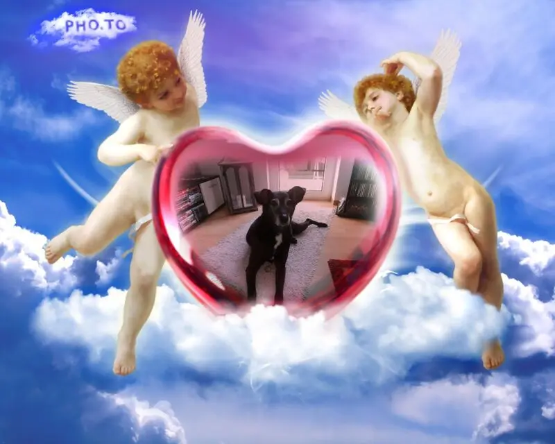 Andachtsbild von Unbekannt