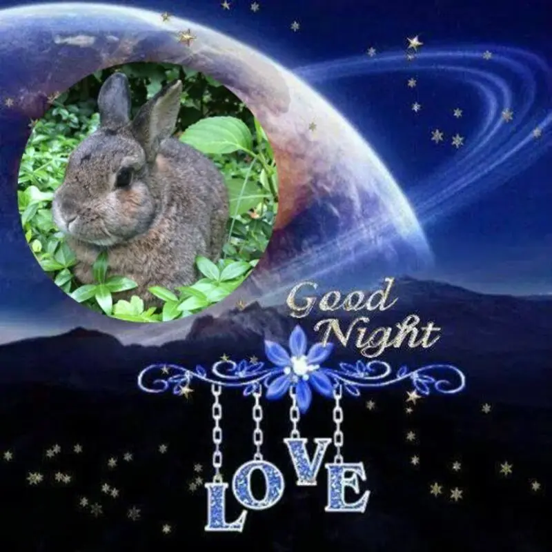 Andachtsbild von Gute Nacht❤️❤️❤️