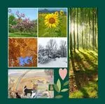 Andachtsbild von Pauline und Jasper,  Regenbogenland