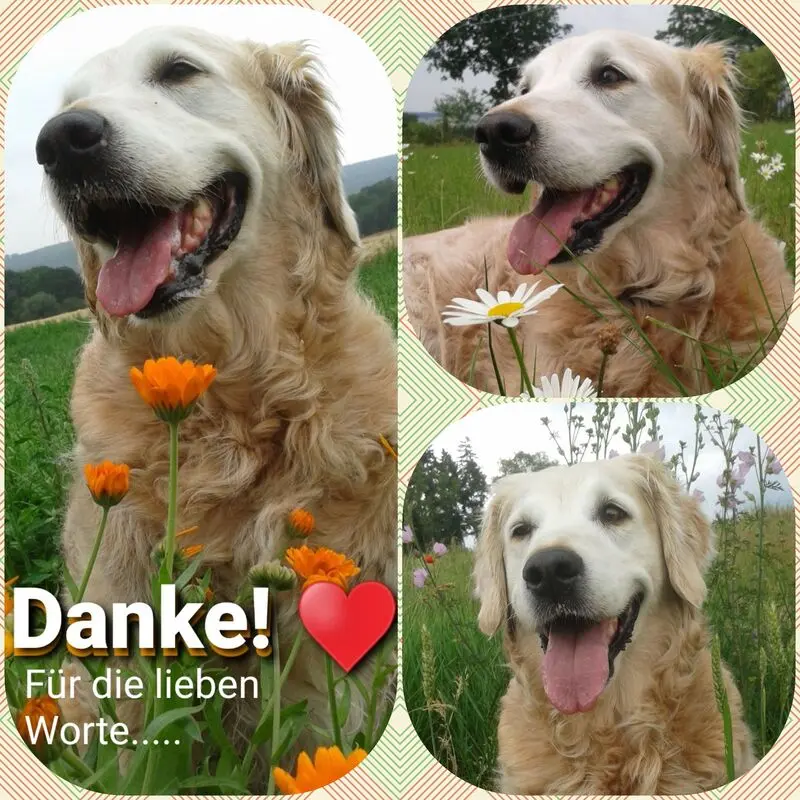 Andachtsbild von Unbekannt