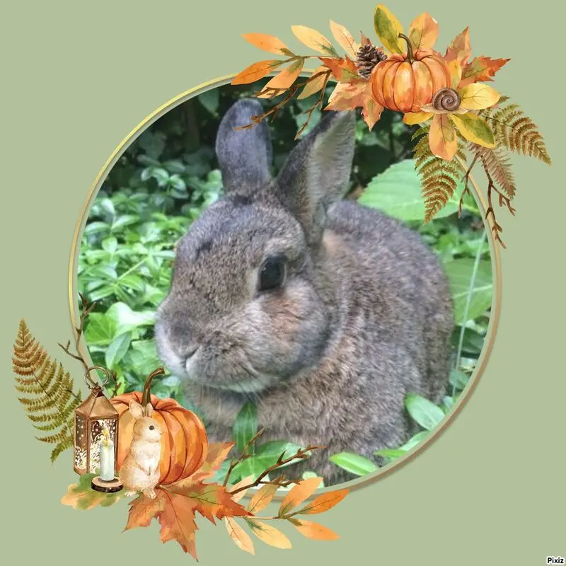 Andachtsbild von Sternchenpost ⭐