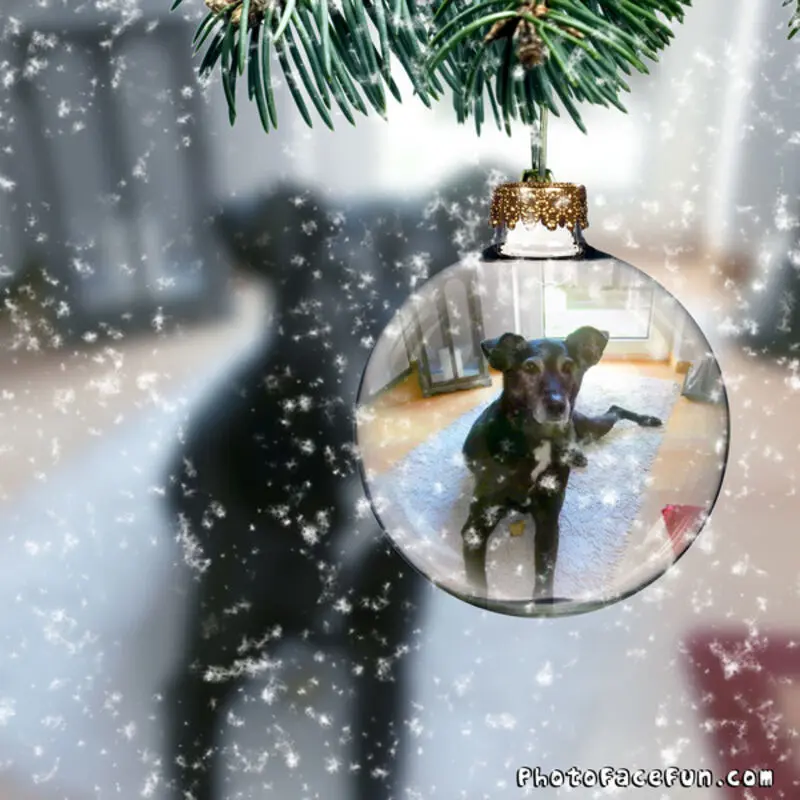 Andachtsbild von Unbekannt