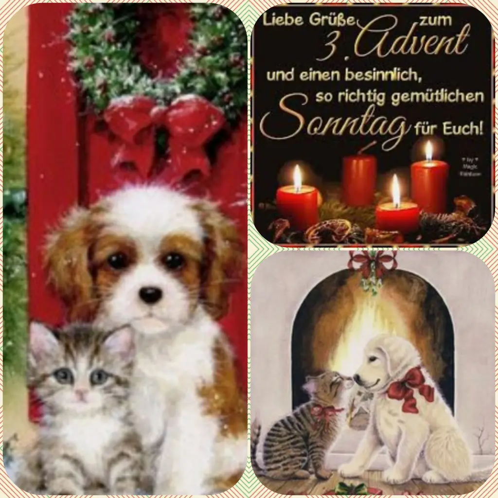 Andachtsbild von Birgit