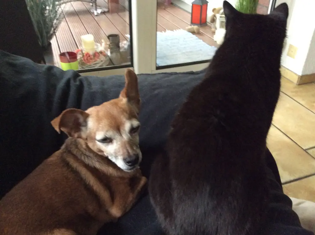 Andachtsbild von Heidi 