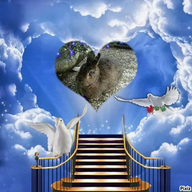 Andachtsbild von Tanja mit Timmy im Herzen