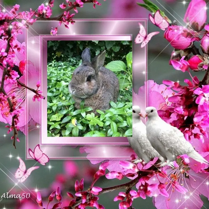 Andachtsbild von Sternchenpost ⭐