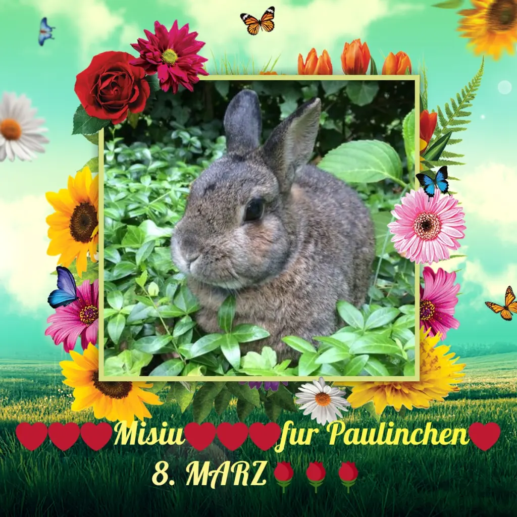 Andachtsbild von 8. Marz❤️❤️❤️