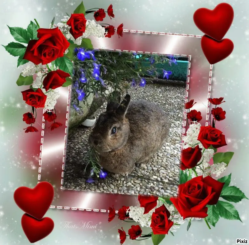 Andachtsbild von Sternchenpost ⭐