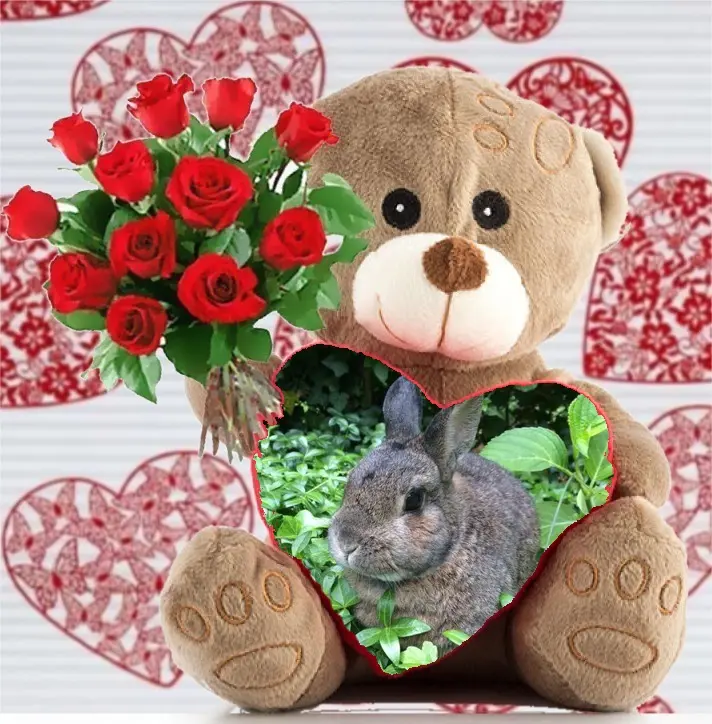 Andachtsbild von ❤️❤️❤️❤️❤️❤️❤️❤️❤️❤️❤️❤️