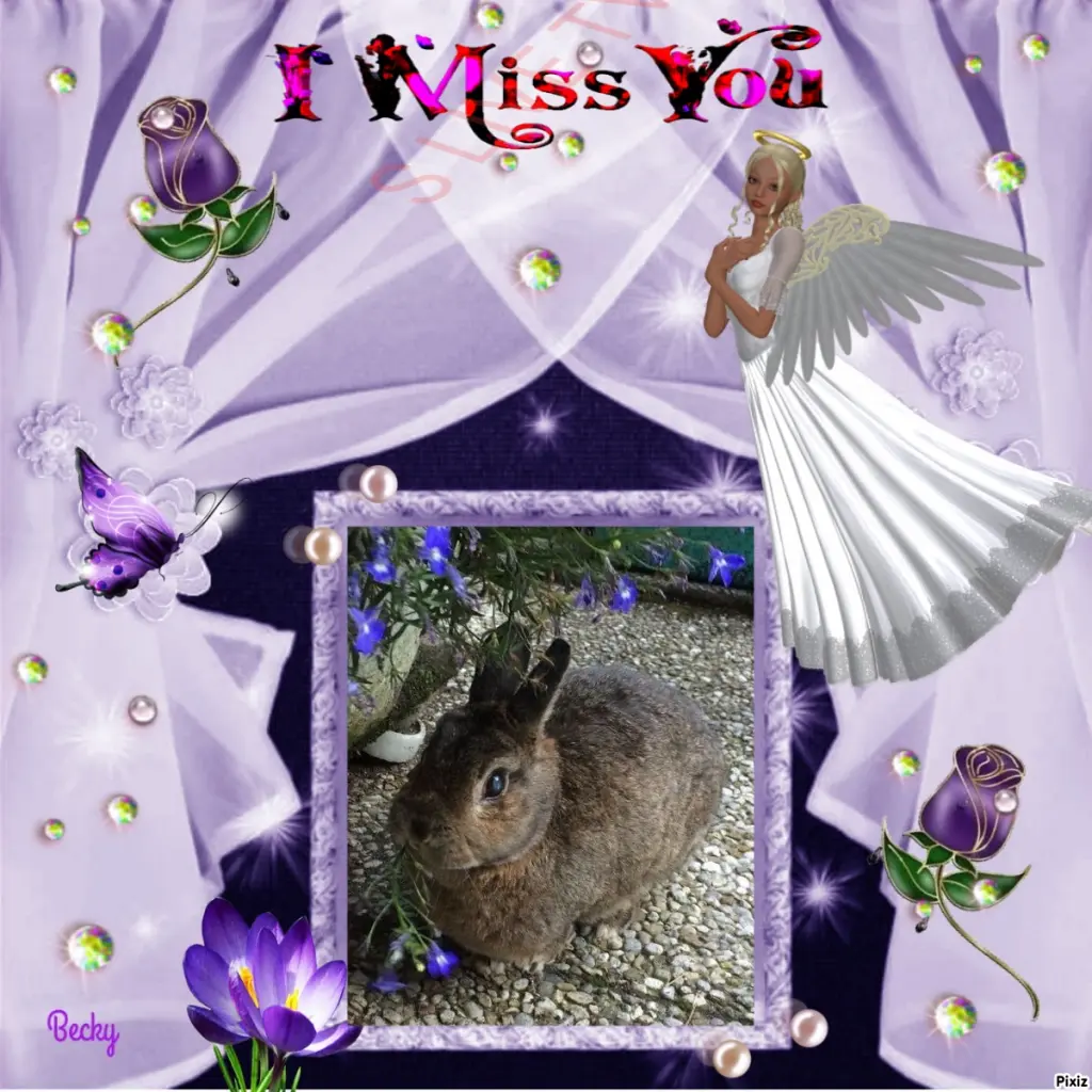 Andachtsbild von Sternchenpost ⭐