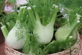 Andachtsbild von Corinna mit Emma, Pummelchen und anderen Sternlein im ❤️