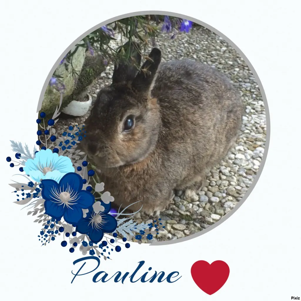 Andachtsbild von Patricia mit Bunny ❤