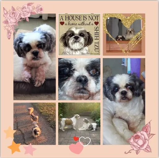 Andachtsbild von Danke