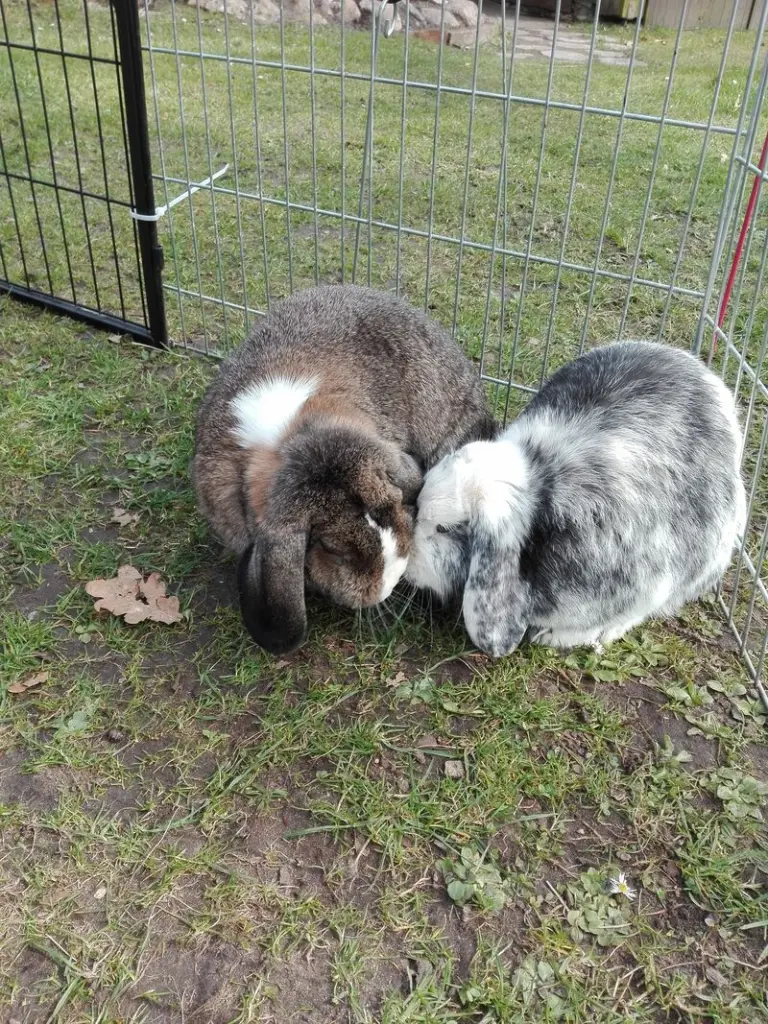 Andachtsbild von Danke von Herzen❤️