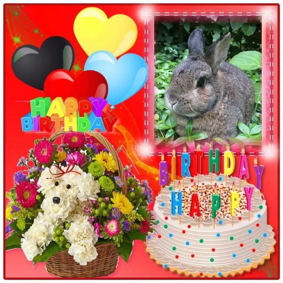 Andachtsbild von 15.Geburtstag❤️❤️❤️