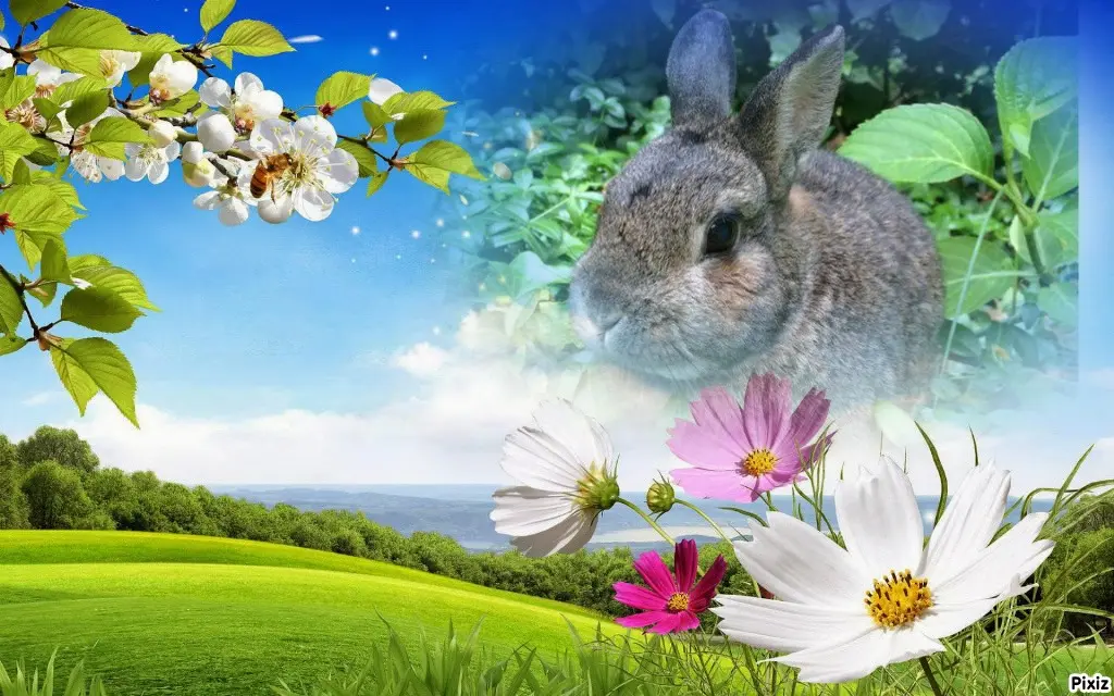 Andachtsbild von Tanja mit Timmy im Herzen