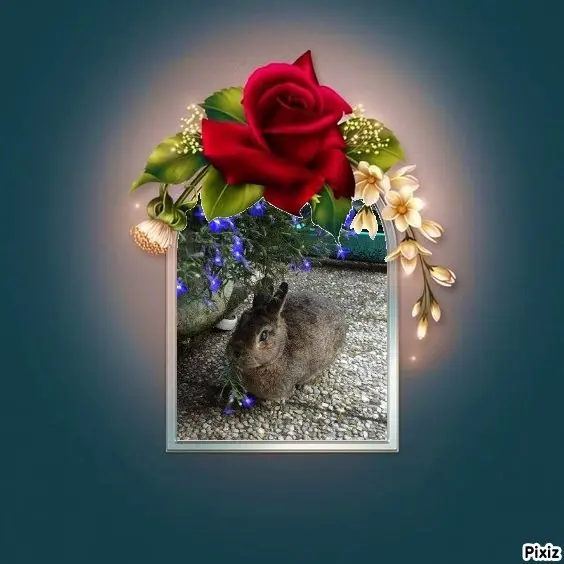 Andachtsbild von Sternchenpost ⭐