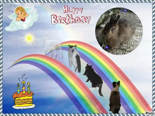 Andachtsbild von Happy Birthday ❤