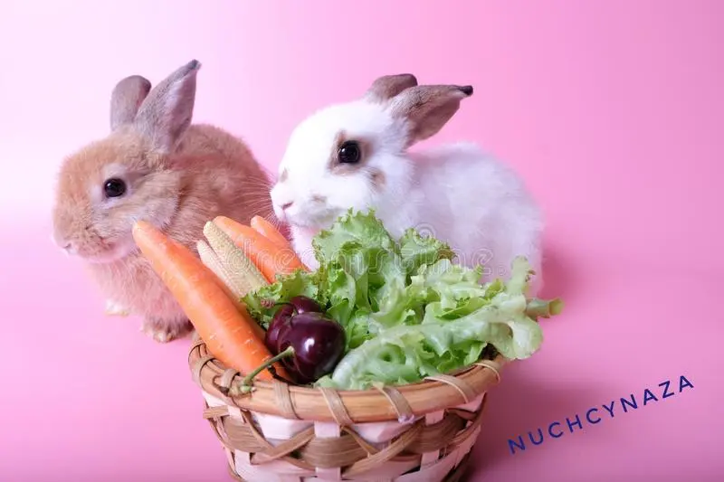 Andachtsbild von Corinna mit Emma, Pummelchen und anderen Sternlein im Herzen