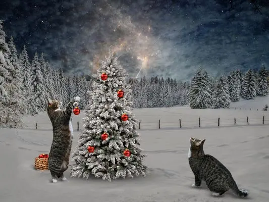 Andachtsbild von Weihnachtspost