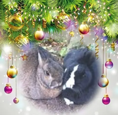 Andachtsbild von Frohe❤❤❤Weihnachten❤❤❤