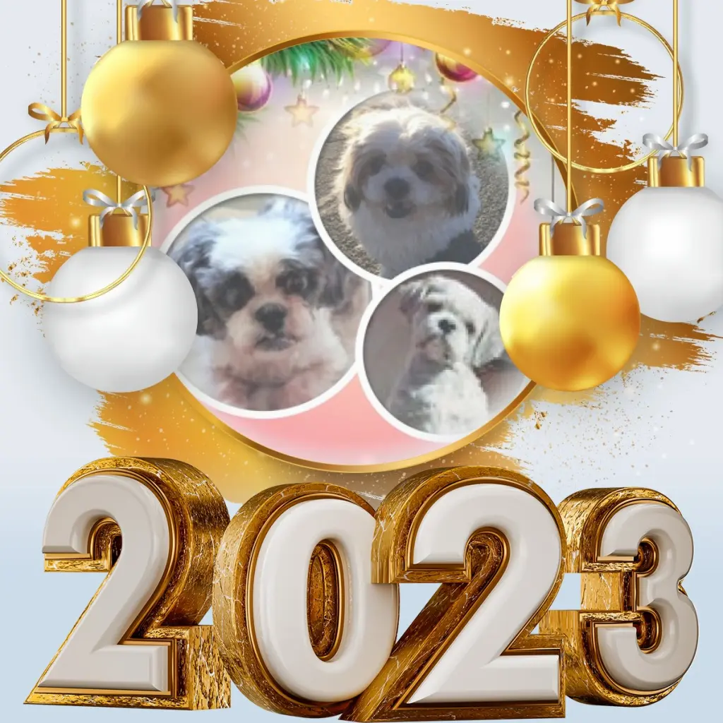 Andachtsbild von Rosen zum neuen Jahr 2023 ❀❀❀✰