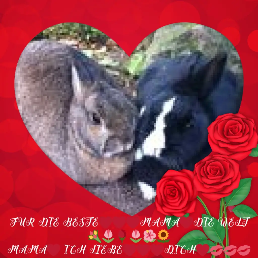 Andachtsbild von Rosen❤️❤️❤️fur Mama❤️