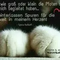 Andachtsbild von Evelyn