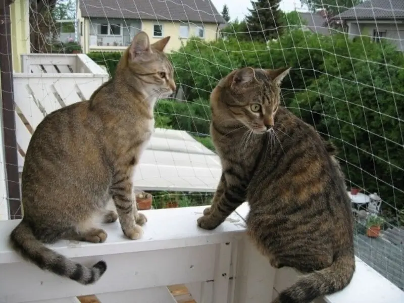 Andachtsbild von Marple und Christie für Pauline und Jasper