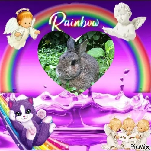 Andachtsbild von 5.Sternchen❤Gedenktag❤❤❤❤❤