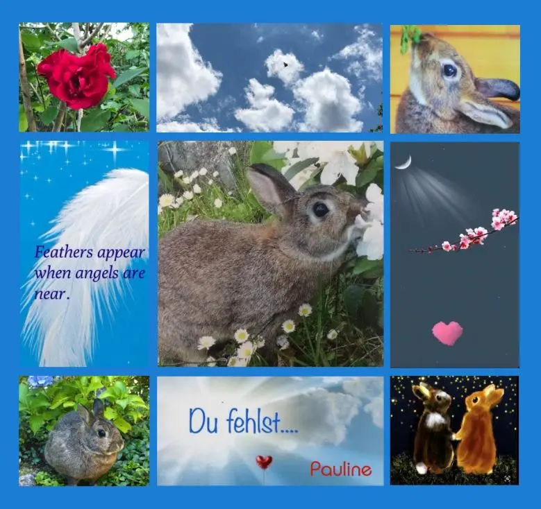 Andachtsbild von Ein Rosenmeer zum 5. Gedenktag