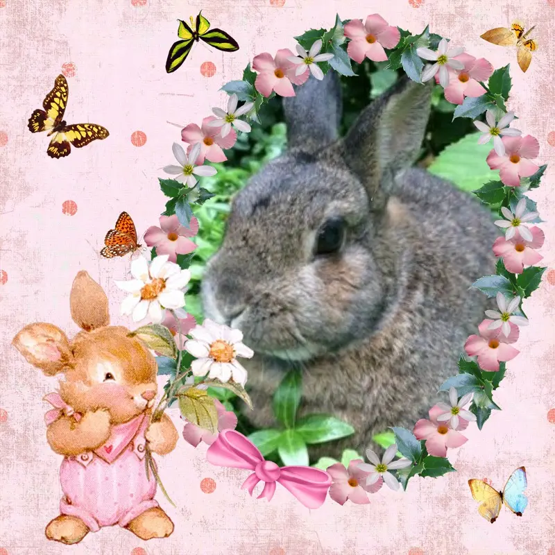 Andachtsbild von Paulinchen's 5.Sternchengeburtstag♥️