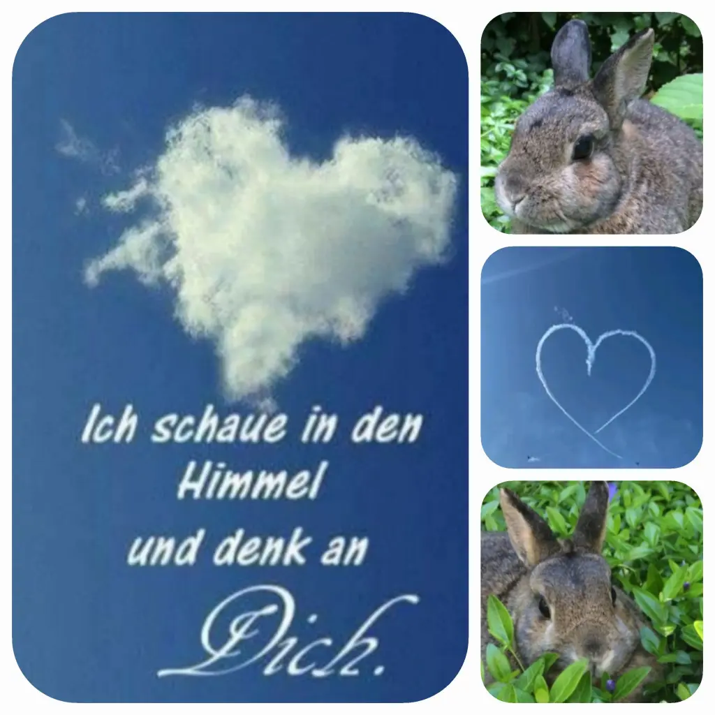Andachtsbild von Birgit