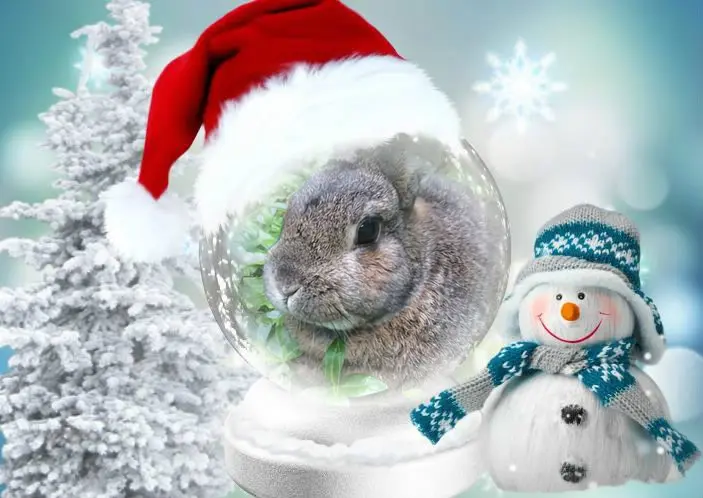 Andachtsbild von Nikolaus❤️fur Paulinchen❤️⭐️