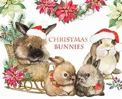 Andachtsbild von Weihnachtspost der Sternchen an die Tiereltern