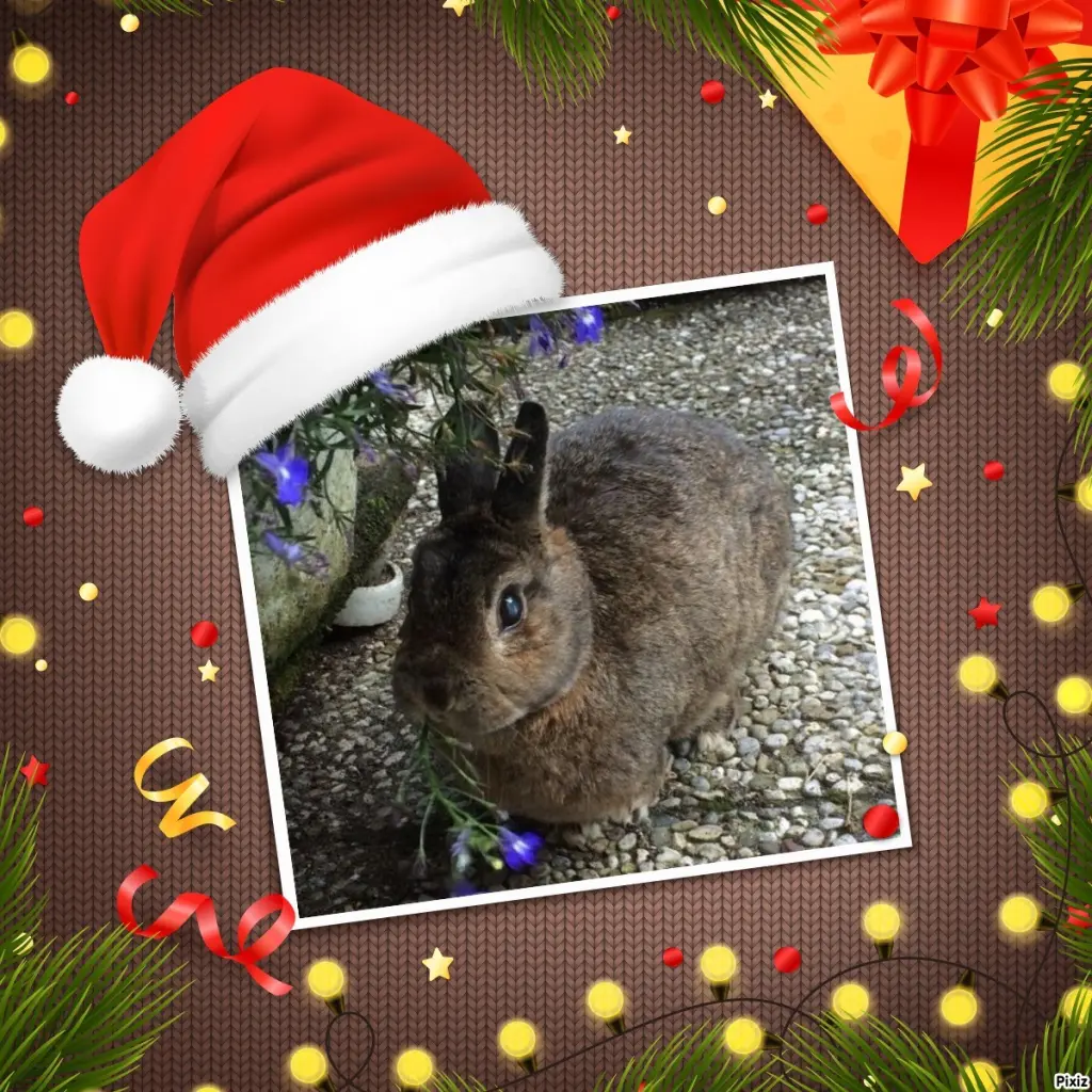 Andachtsbild von Schöne Festtage ❤️