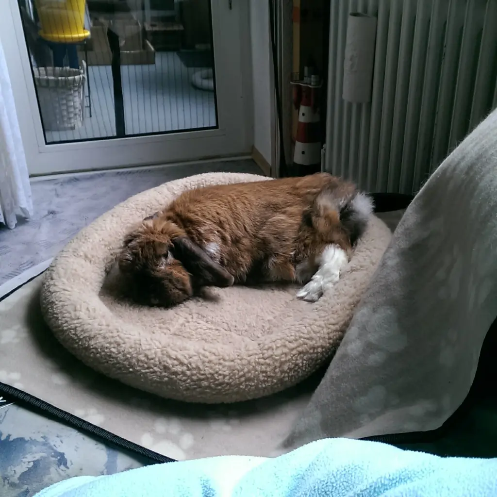Andachtsbild von Andrea mit Schnuffi tief im ❤ 