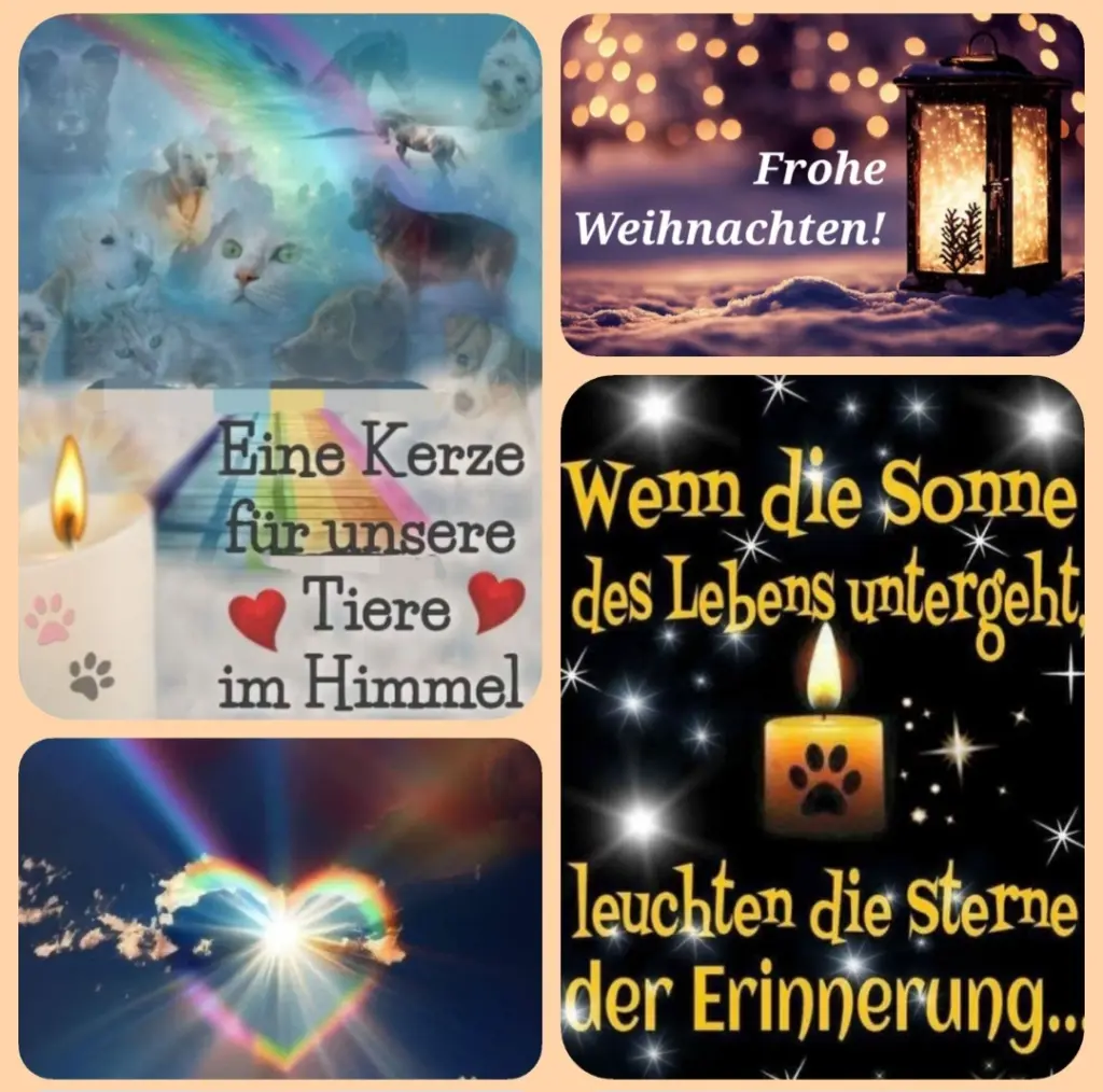 Andachtsbild von Birgit