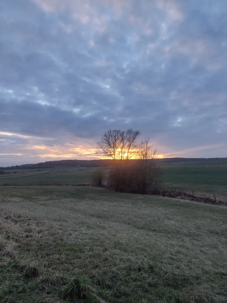Andachtsbild von Corinna mit Emma, Jengi, Pummelchen und anderen Sternleine im Herzen