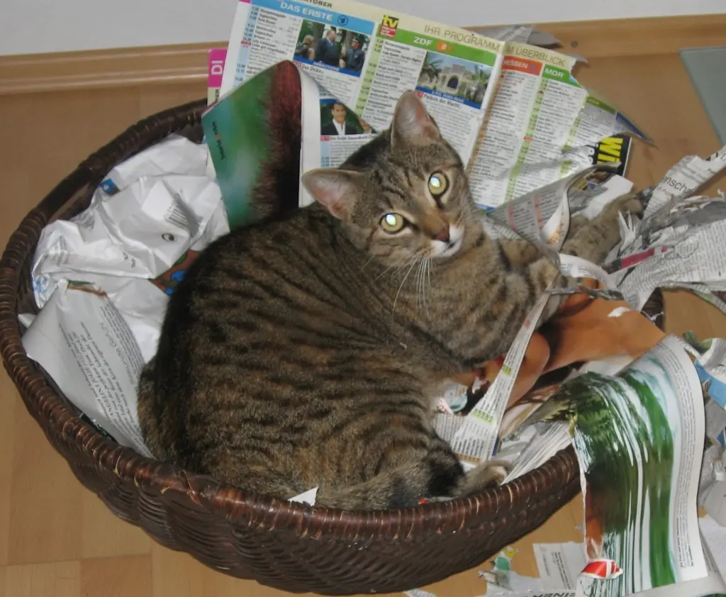Andachtsbild von Sternchenpost ♥