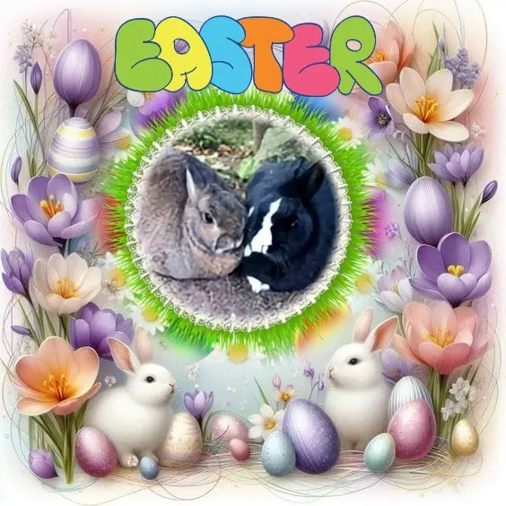Andachtsbild von Frohe❤️❤️❤️Ostern❤️