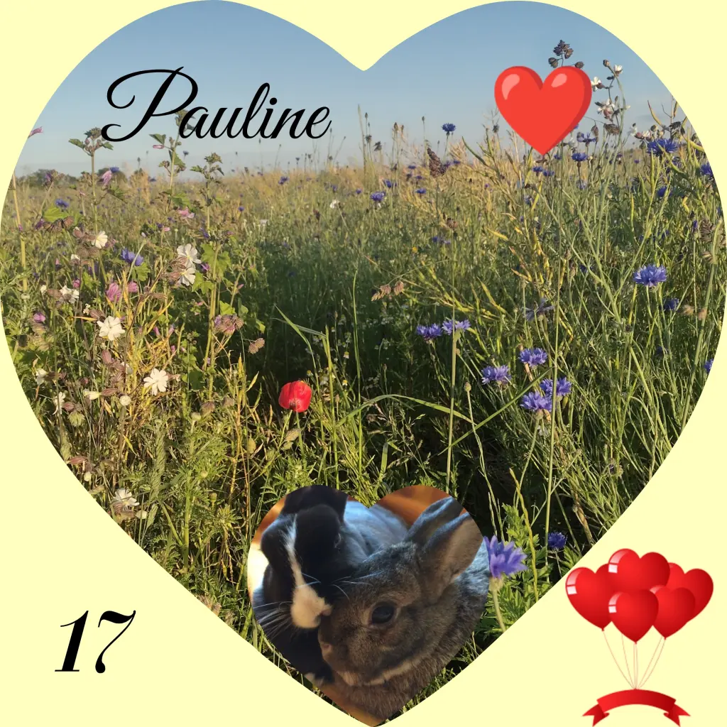 Andachtsbild von Corinna mit Emma, Jengi, Pummelchen und anderen Sternleine im Herzen