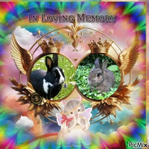 Andachtsbild von 6.Sternchen⭐️Gedenktag❤️❤️❤️❤️❤️❤️