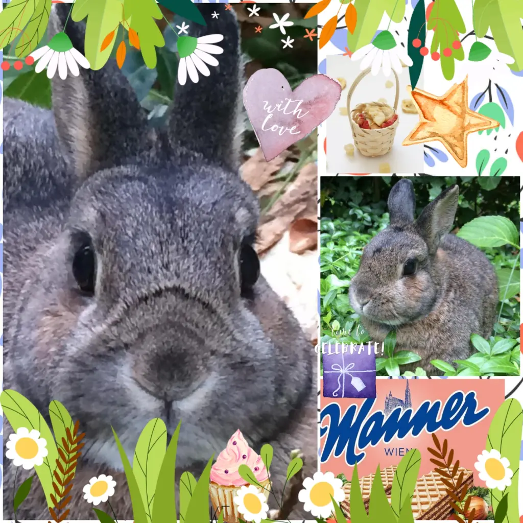 Andachtsbild von ❤️6. Sternchengeburtstag Pauline ❤️