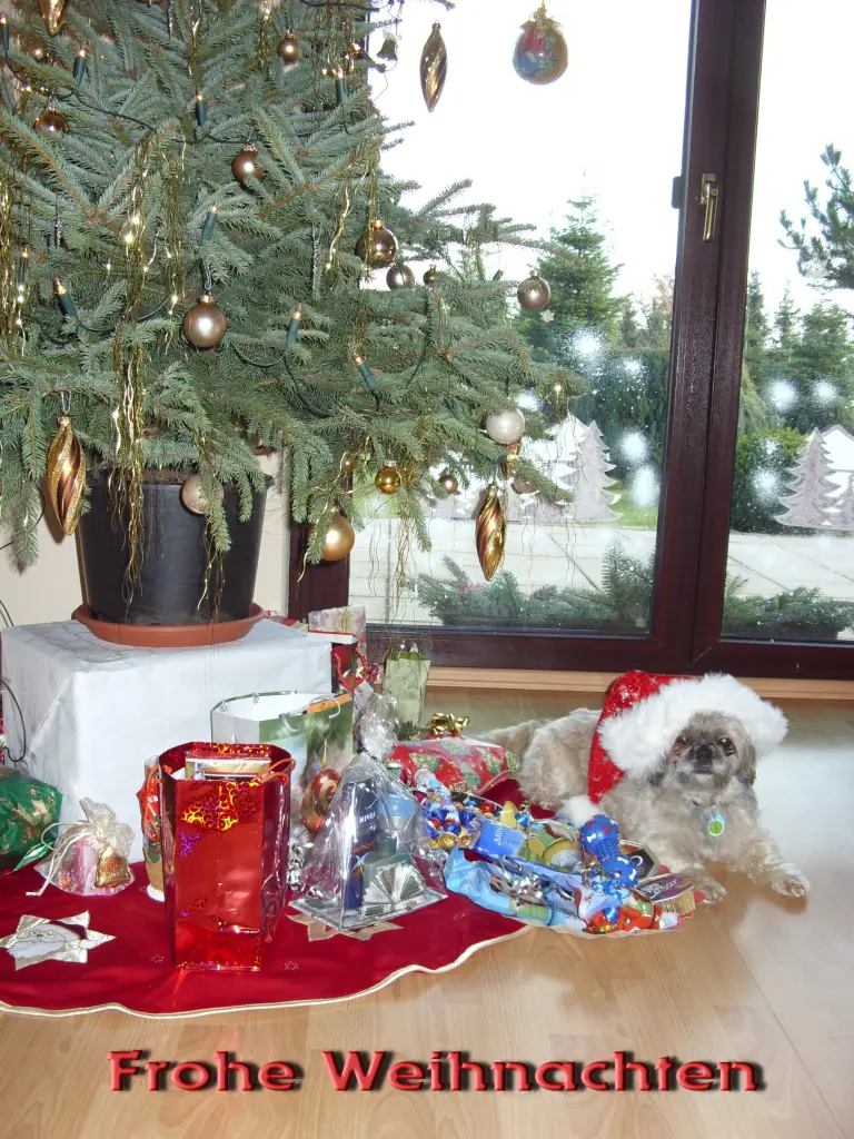 Andachtsbild von Kathrin mit Susi im Herzen