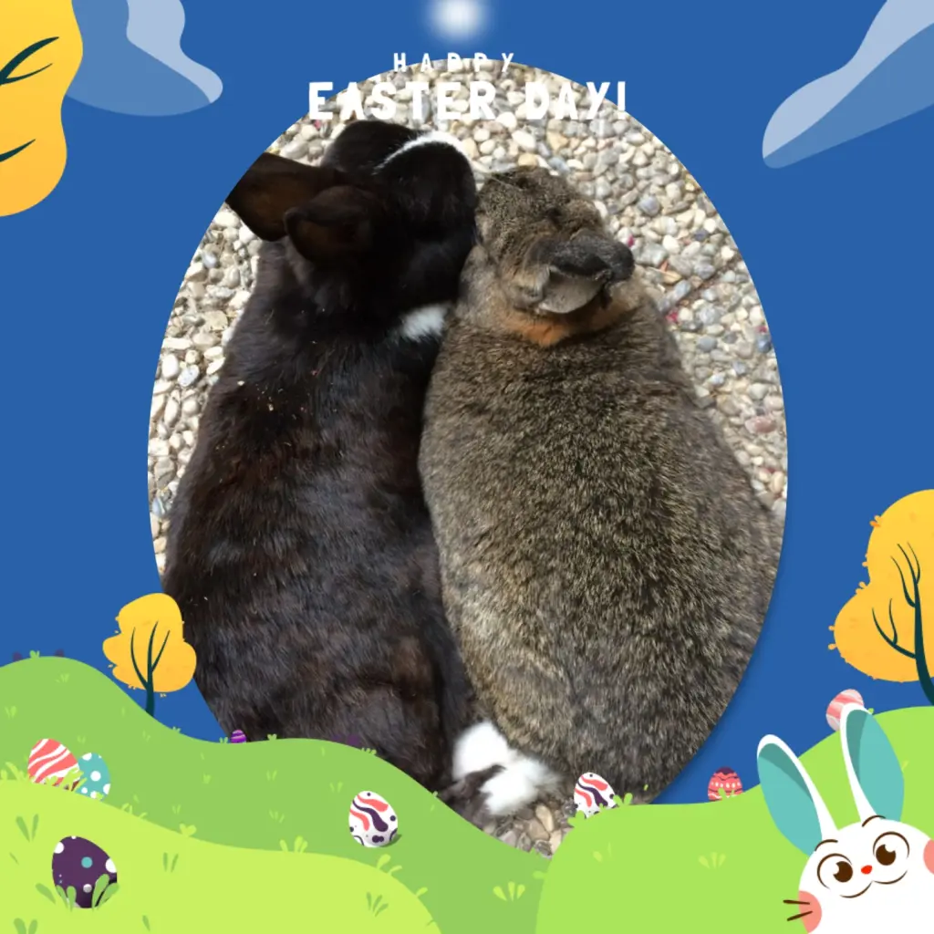 Andachtsbild von ❤️Zu Ostern❤️Für Pauline und Jasper ❤️