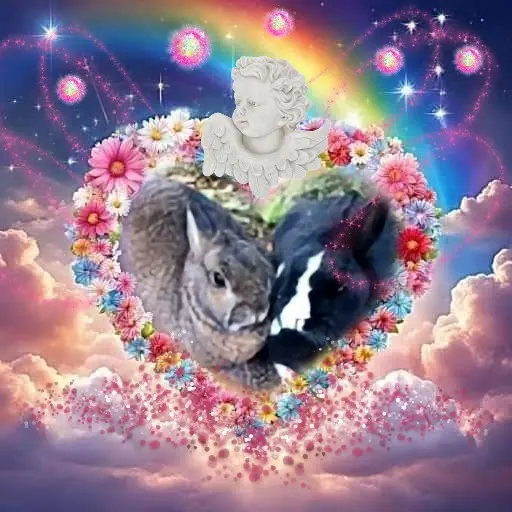 Andachtsbild von ❤️❤️❤️❤️❤️❤️❤️❤️❤️❤️❤️❤️