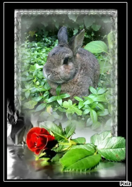 Andachtsbild von Tanja mit Timmy im Herzen 