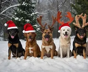 Andachtsbild von Post von Benny und alle Sternchen aus dem Regenbogenland